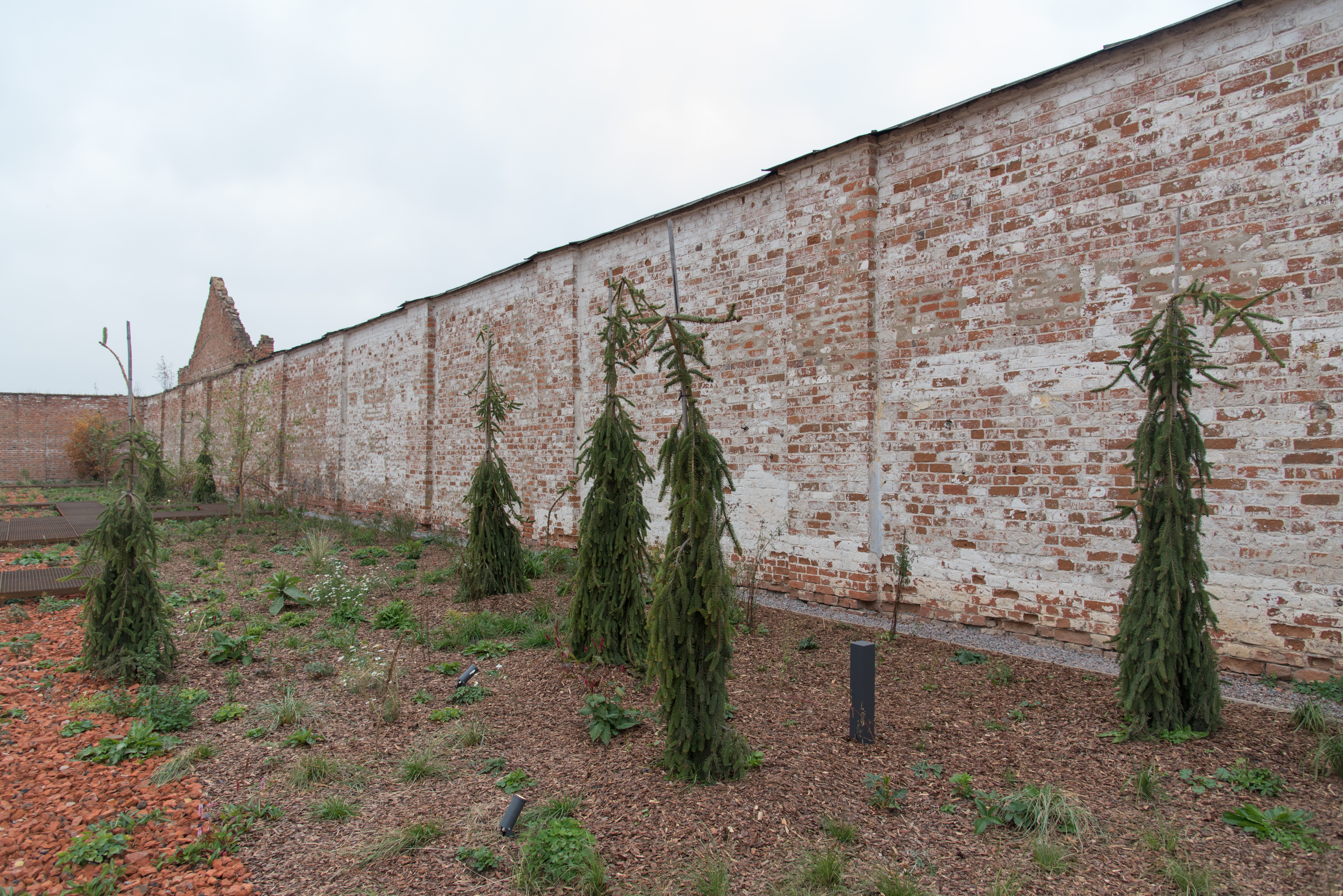 Благотворительный фонд «Свет»